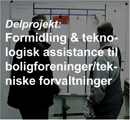 Delprojekt Formidling Og Teknologisk Assistance Web
